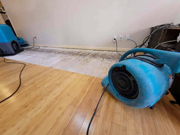 Professional Sewage Cleanup technician working in Hewitt, TX